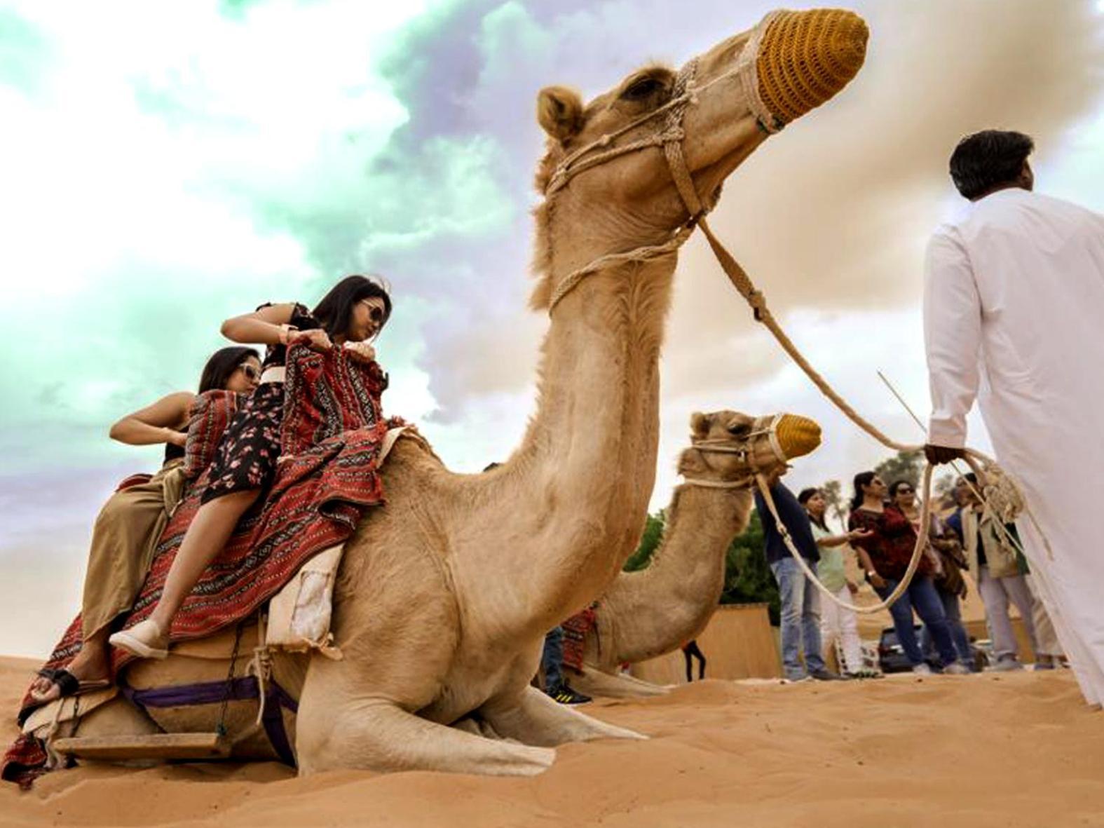 Bedouin Oasis Desert Camp- Ras Al Khaimah Luaran gambar